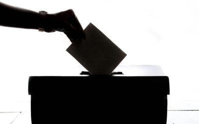 Social Media and Elections: Everything You Need To Know